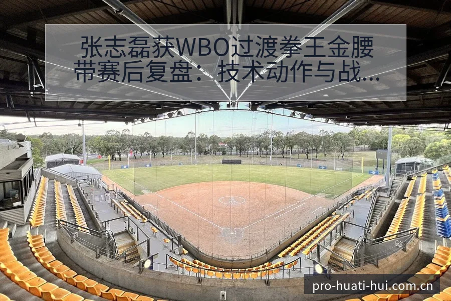 张志磊获WBO过渡拳王金腰带赛后复盘：技术动作与战术适配 - 华体会